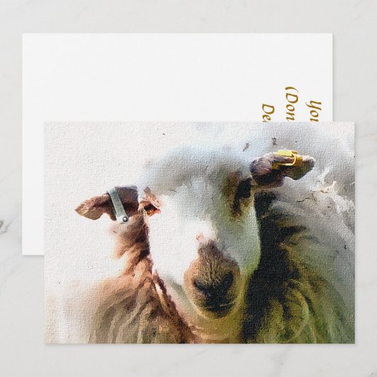 KUSTSCHAPINVITATIE (Voorkant / Achterkant)