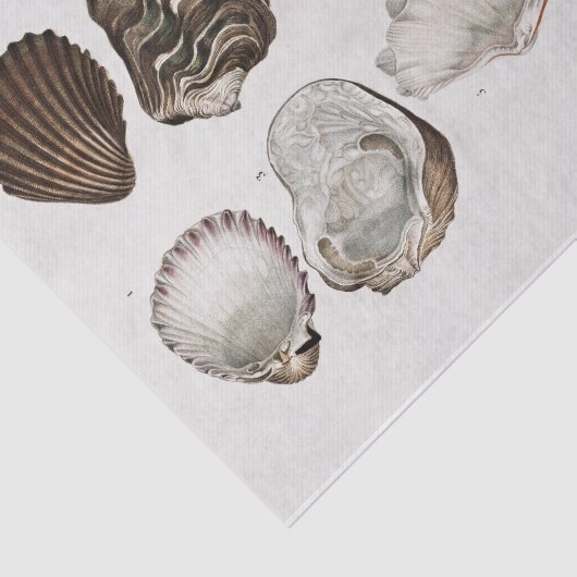kustschelp tissuepapier (Detail)
