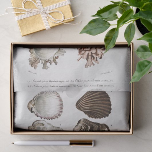 kustschelp tissuepapier (Geschenk)