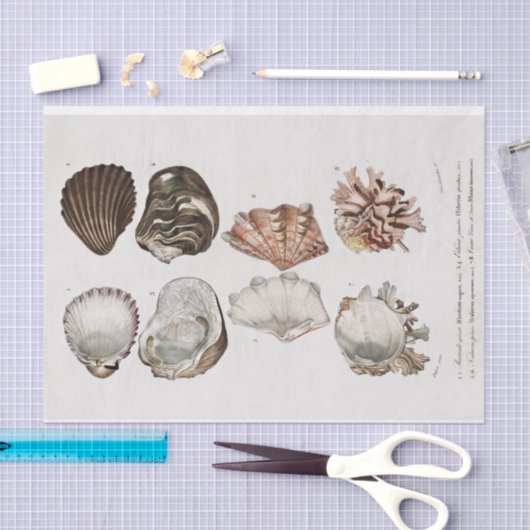 kustschelp tissuepapier (Craft)