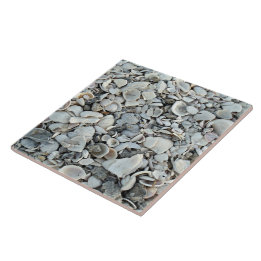 Kustschelpen Oever Tegels Tegeltje