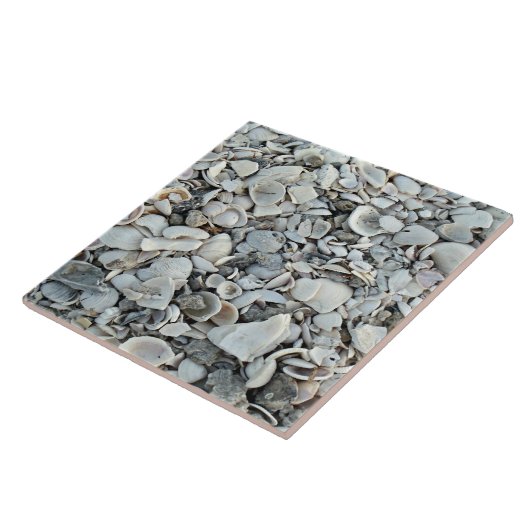 Kustschelpen Oever Tegels Tegeltje (Zijkant)