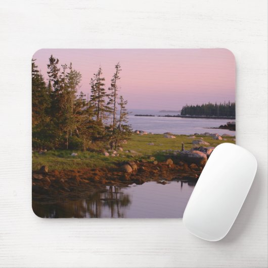 Kustschemering Muismat (Met muis)