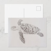 Kustschildpad voor Zee Briefkaart (Voorkant / Achterkant)