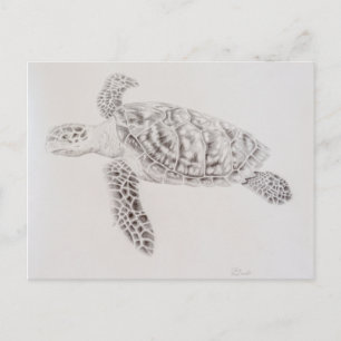 Kustschildpad voor Zee Briefkaart