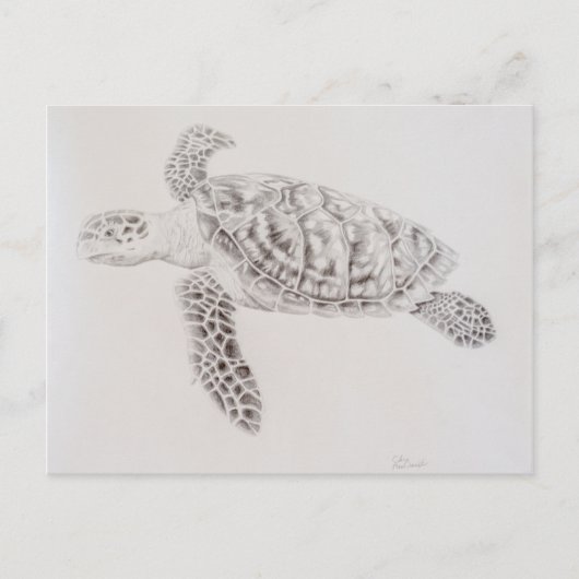 Kustschildpad voor Zee Briefkaart (Voorkant)