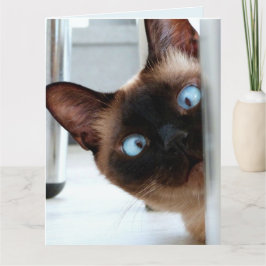 KUSTSIAMESE KAT PEEKEREN OP DE BIRTHDAY! KAART
