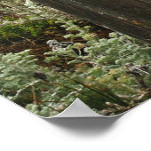 Kuststappen Poster (Hoek)