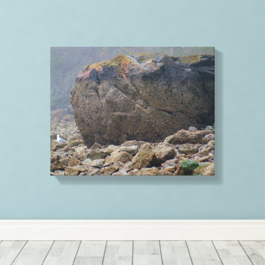 Kuststrand, rotzand, steen, zeeoor, uniek canvas afdruk (Insitu (Houten vloer))