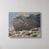 Kuststrand, rotzand, steen, zeeoor, uniek canvas afdruk (Voorkant)