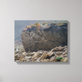 Kuststrand, rotzand, steen, zeeoor, uniek canvas afdruk