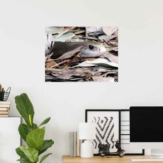 KustTaipan Poster (Thuiskantoor)