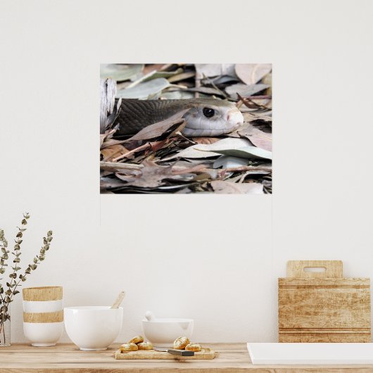 KustTaipan Poster (Keuken)