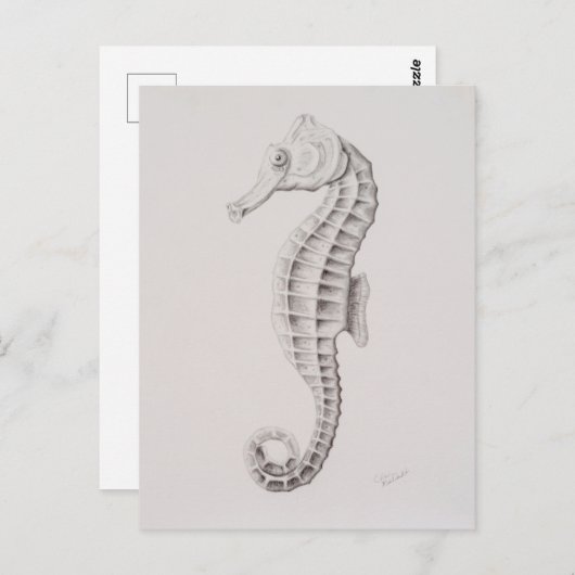 Kusttekening Briefkaart (Voorkant / Achterkant)