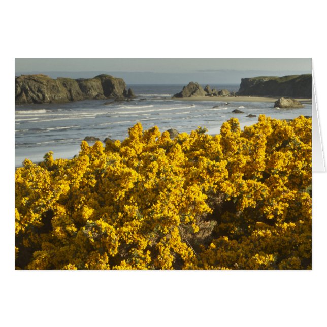 Kustuitzichten, Bandon, Oregon (Voorkant Horizontaal)