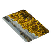 Kustuitzichten, Bandon, Oregon Magneet (Rechterzijde)