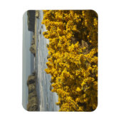 Kustuitzichten, Bandon, Oregon Magneet (Verticaal)