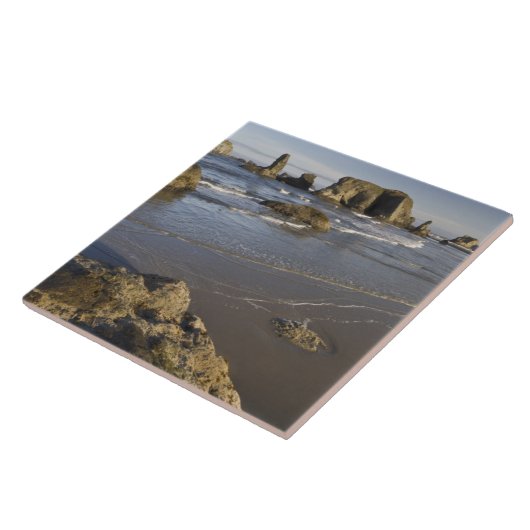 Kustuitzichten, Bandon, Oregon Tegeltje (Zijkant)