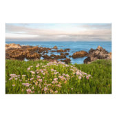 kustveer foto afdruk (Voorkant)