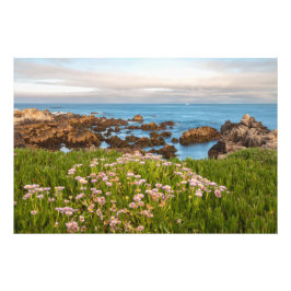 kustveer foto afdruk