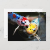 Kustvis Briefkaart (Voorkant / Achterkant)