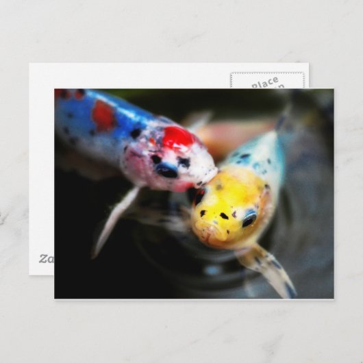 Kustvis Briefkaart (Voorkant / Achterkant)