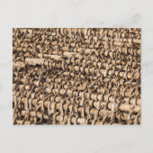 Kustvis Briefkaart (Voorkant)