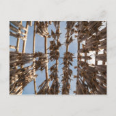 Kustvis Lofoten Eilanden Noorwegen Briefkaart (Voorkant)