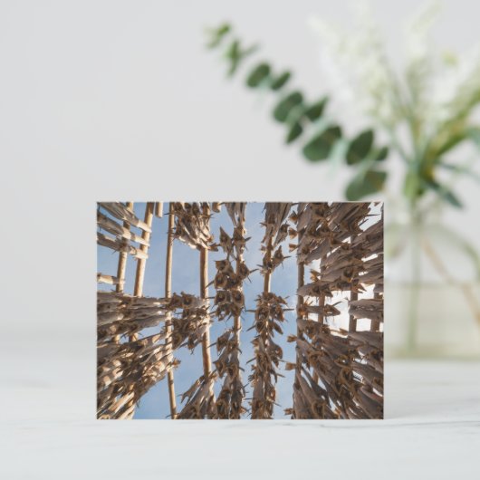 Kustvis Lofoten Eilanden Noorwegen Briefkaart (Staand voorkant)