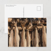 Kustvis van Noorwegen Briefkaart (Voorkant / Achterkant)