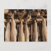 Kustvis van Noorwegen Briefkaart (Voorkant)