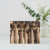 Kustvis van Noorwegen Briefkaart (Staand voorkant)