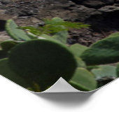 Kustvuurtoren, Hawaii Poster (Hoek)