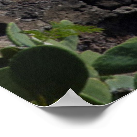 Kustvuurtoren, Hawaii Poster (Hoek)