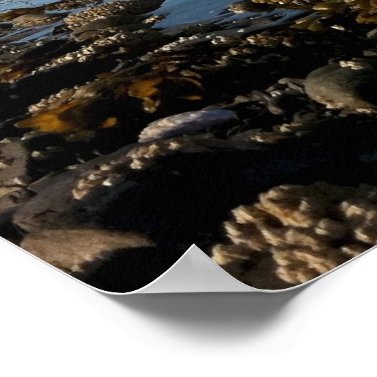 Kustwacht Cutter Morgenthau Poster (Hoek)