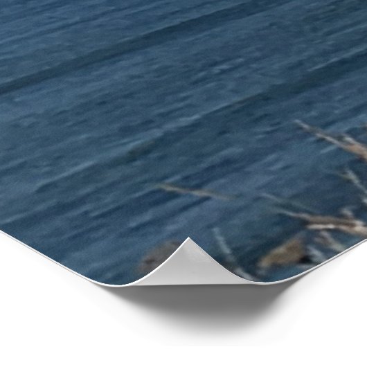 Kustwacht MH-65 Dolphin & MH-60 Jayhawk Poster (Hoek)