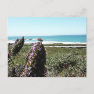 Kustwater Briefkaart