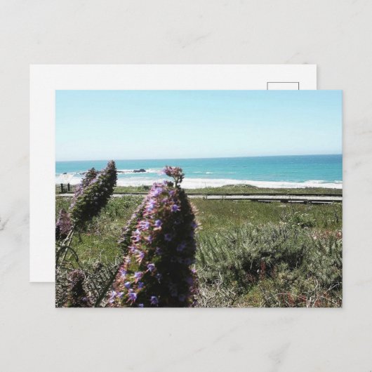 Kustwater Briefkaart (Voorkant / Achterkant)