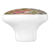 Kustwater Zee Life Moray Eel Fish Underwater Marin Keramische Knop (Zijkant)