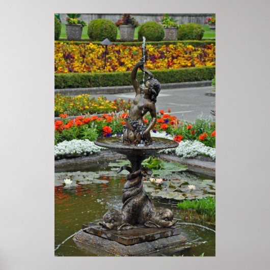 Kustwaterfontein Poster (Voorkant)