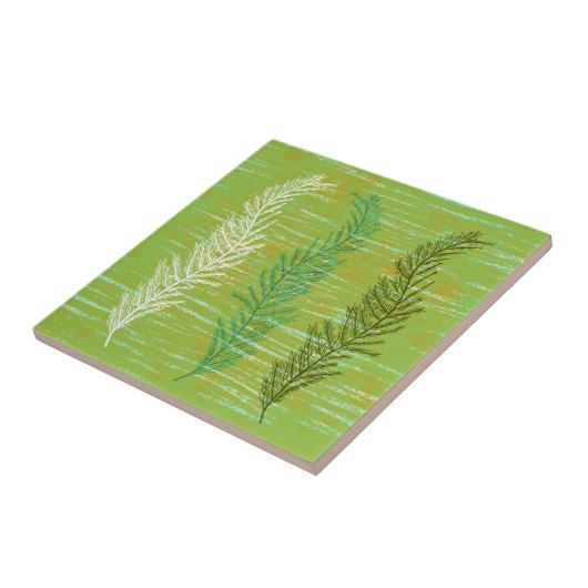 Kustweed Tegeltje (Zijkant)