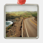 Kustweg Metalen Ornament (Voorkant)