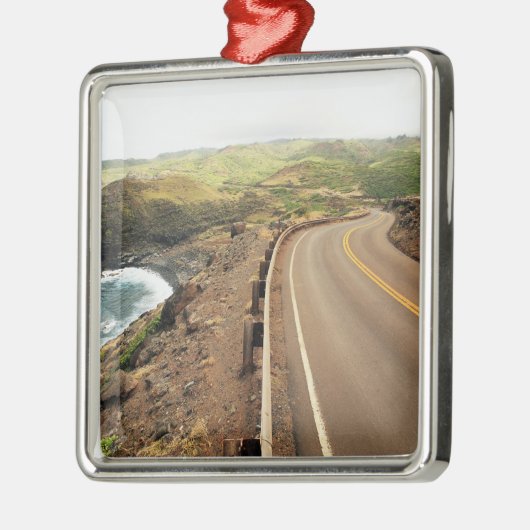 Kustweg Metalen Ornament (Links)