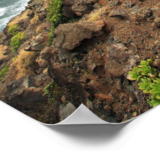 Kustweg Poster (Hoek)