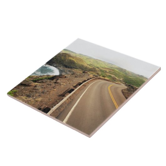 Kustweg Tegeltje (Zijkant)