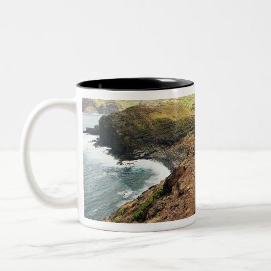 Kustweg Tweekleurige Koffiemok (Links)