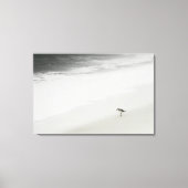 Kustzandloper op het strand canvas afdruk (Voorkant)