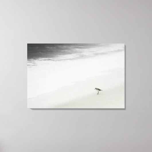 Kustzandloper op het strand canvas afdruk (Voorkant)