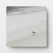 Kustzandloper op het strand fotoplaat (Voorkant)