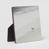 Kustzandloper op het strand fotoplaat (Voorkant)